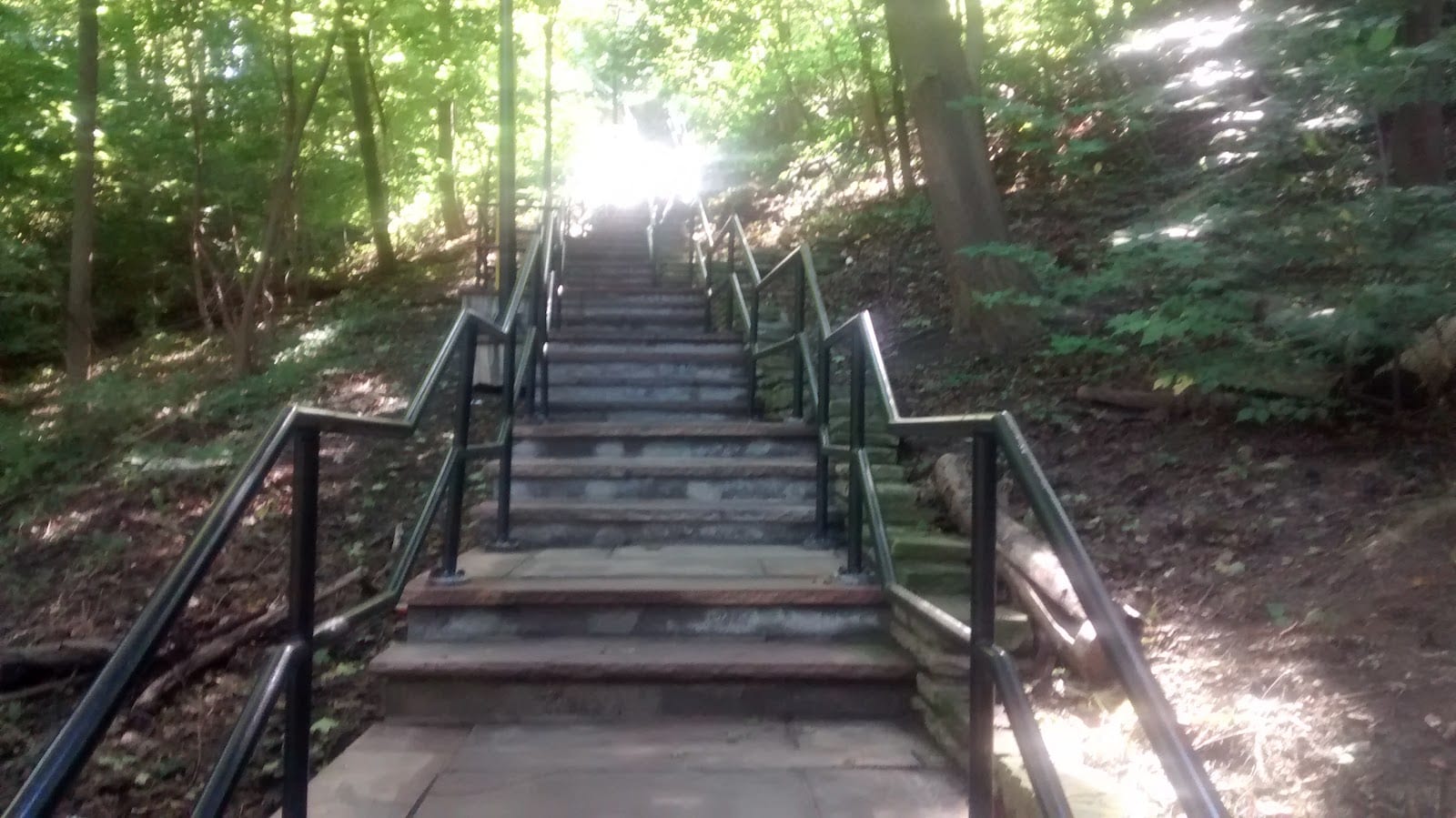 Glendon Athletic Club, photo 3