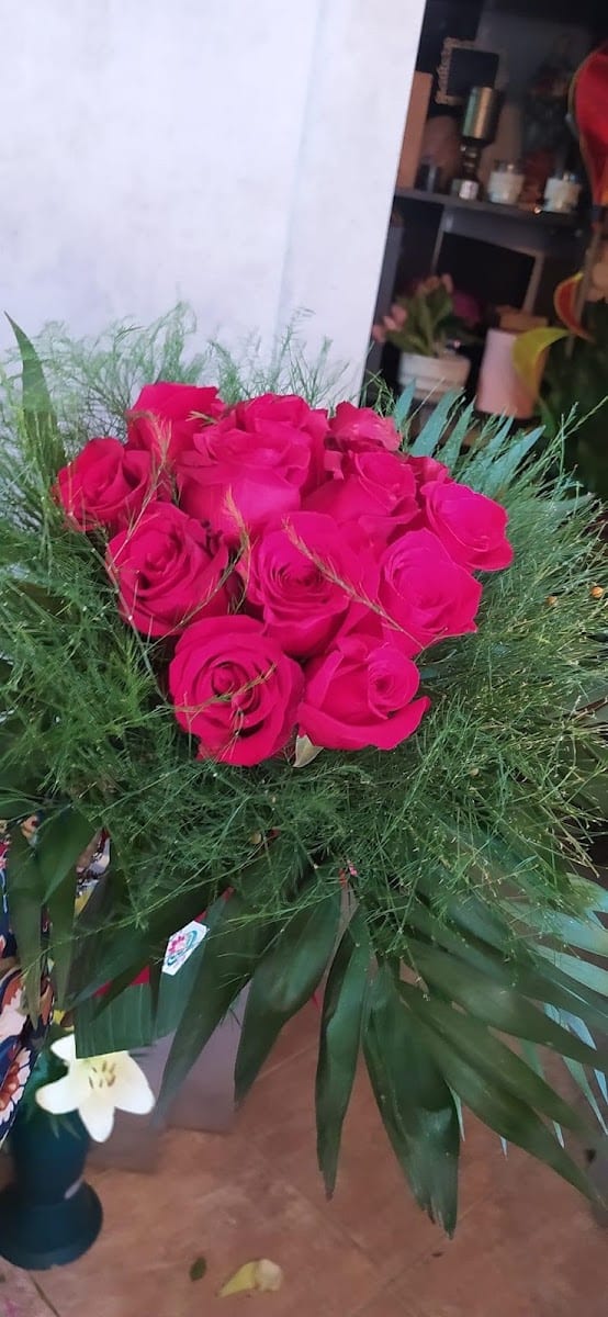 Beauté M, photo 3
