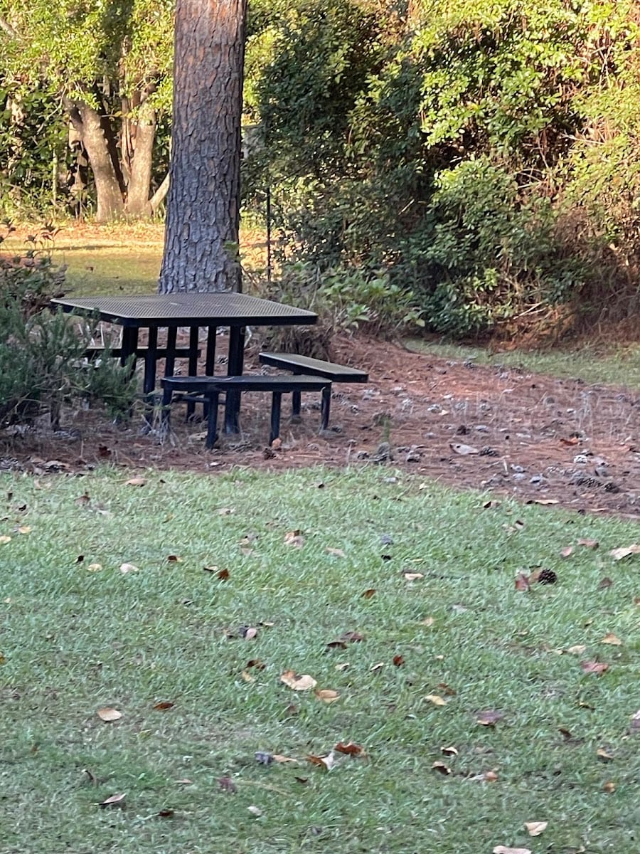 University of South Alabama Disc Golf Course, photo 2