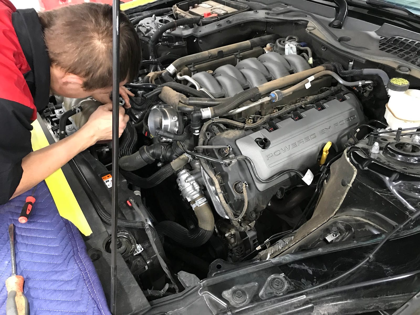 Wolfforth Auto Performance, photo 2