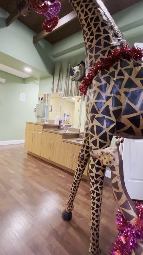 Pediatric Dentistry of Port Charlotte, photo 2
