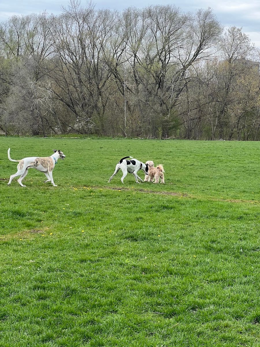 Kingsmill Off-Leash Dog Park