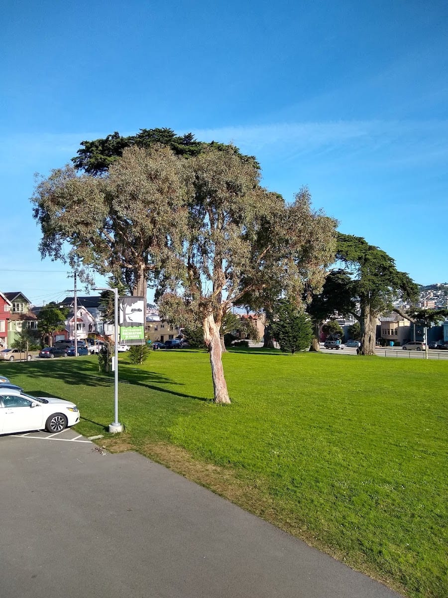Balboa Pool, photo 3