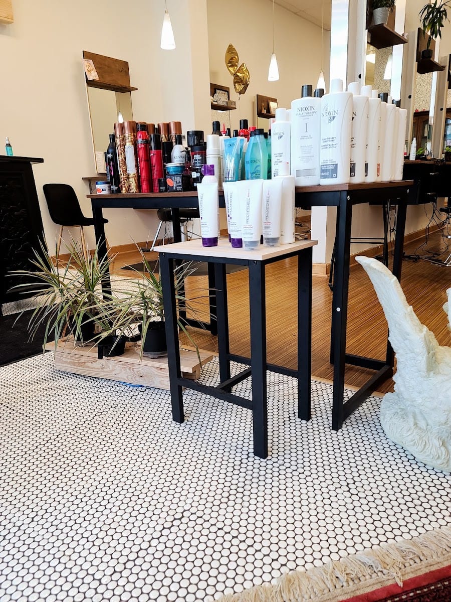 The Black Swan Studio, photo 2