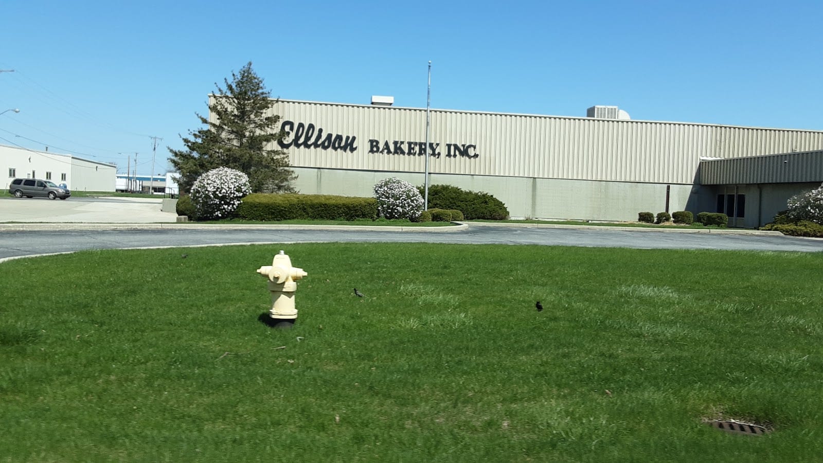 Ellison Bakery, photo 3