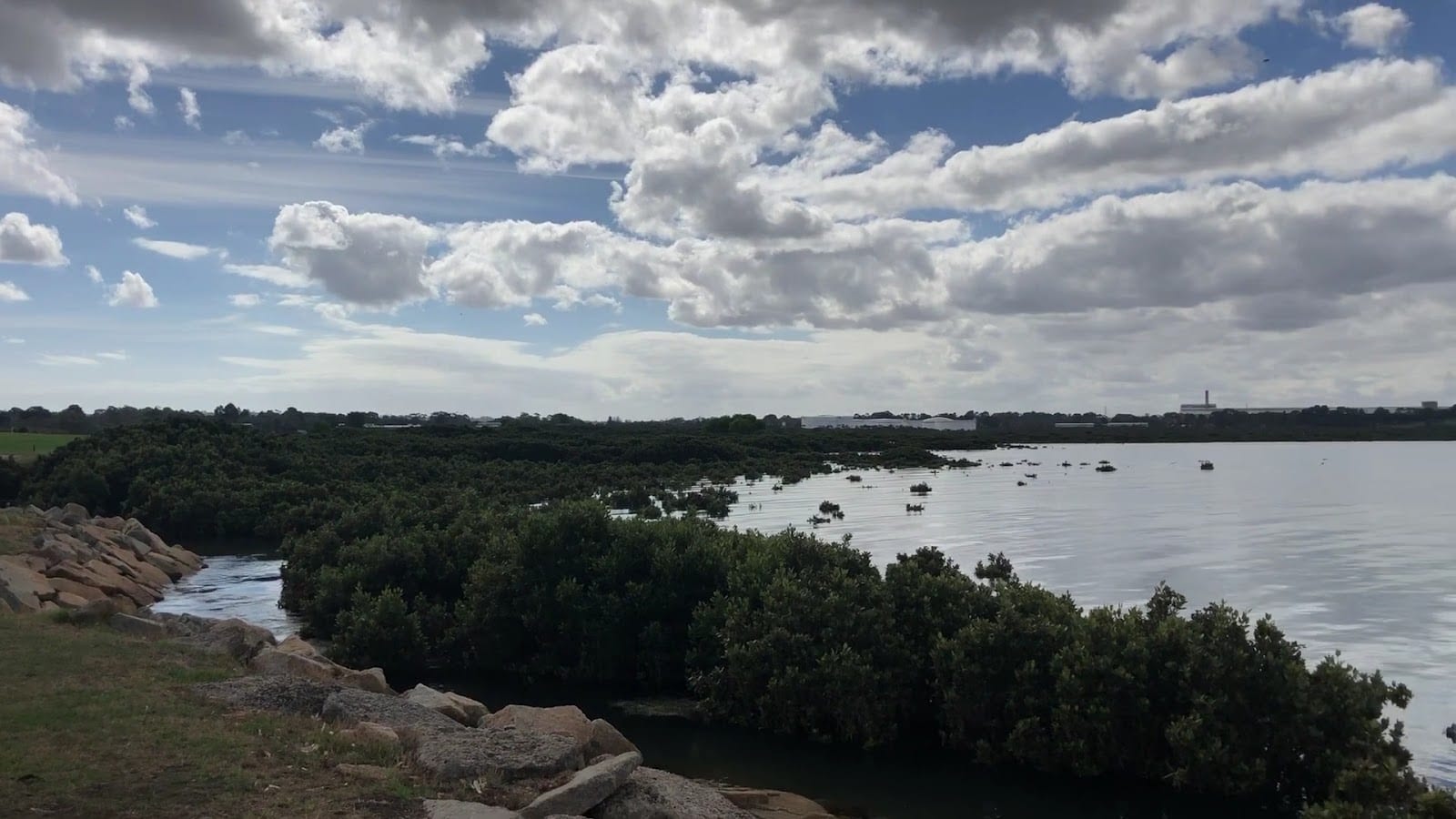 Hastings Foreshore Reserve, photo 2