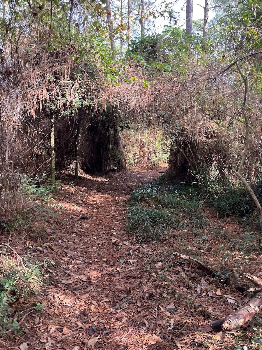Benjamin J Estrada Eagle Scout Walking Trail, photo 3