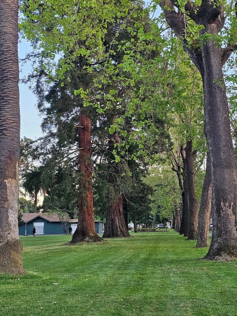 Fuller Park, photo 3