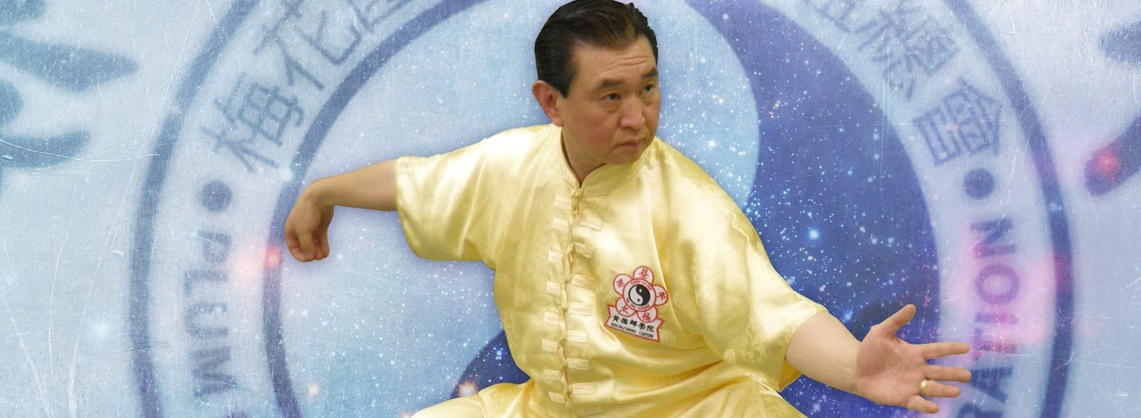 Doc-Fai Wong Martial Arts Center, photo 2