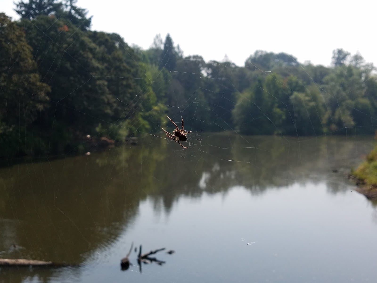 Milwaukie Park & Recreation