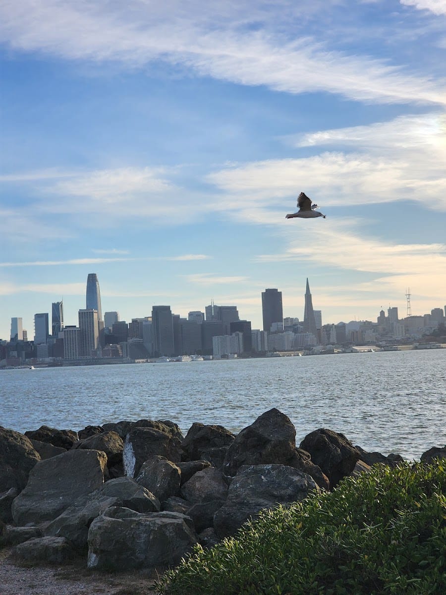 Treasure Island Playground, photo 2
