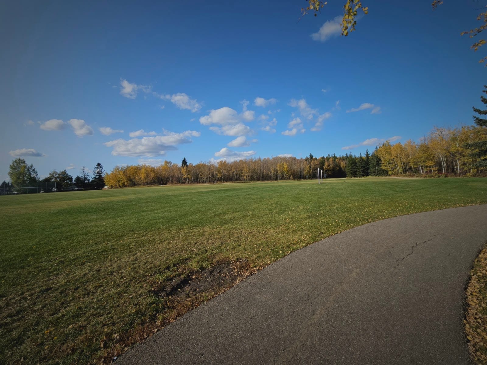 Glen Allan Park, photo 2