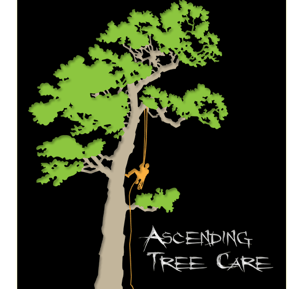 Ascending Tree Care, photo 3
