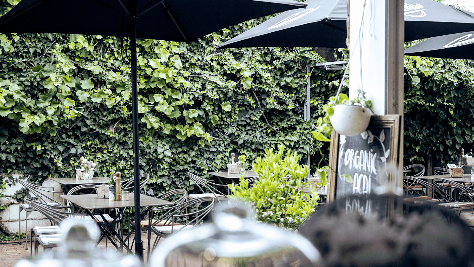 The Sisters Kitchen Garden Cafe, photo 2
