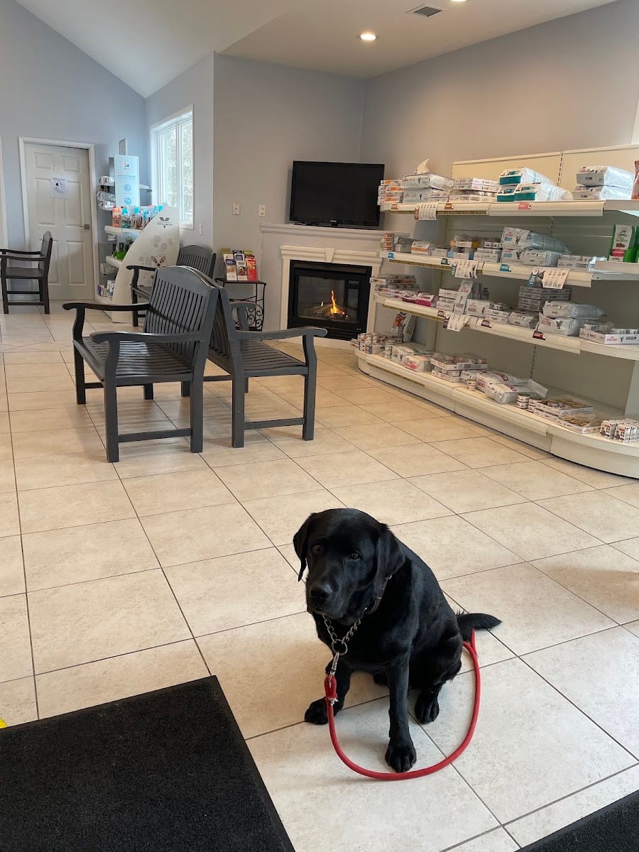 Bayview Hill Animal Hospital