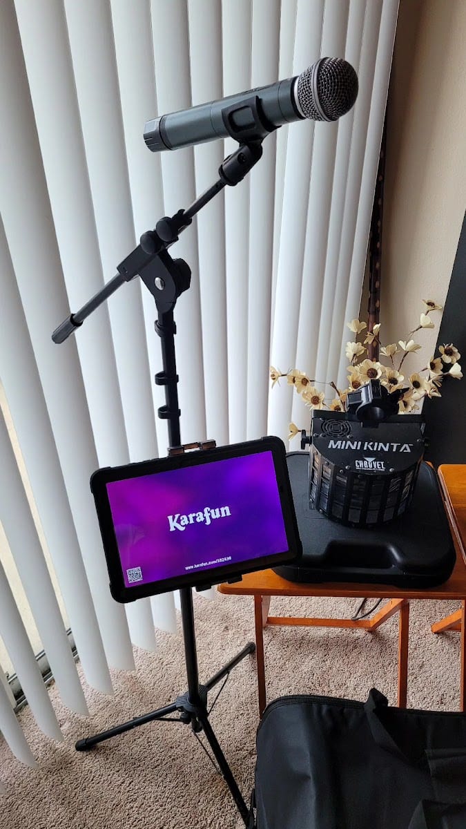 Home Karaoke Party Rentals, photo 3
