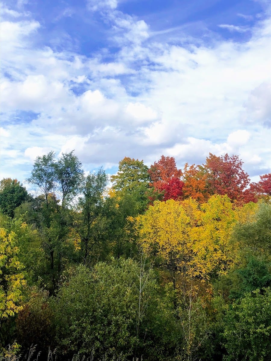 Newtonbrook Park, photo 3