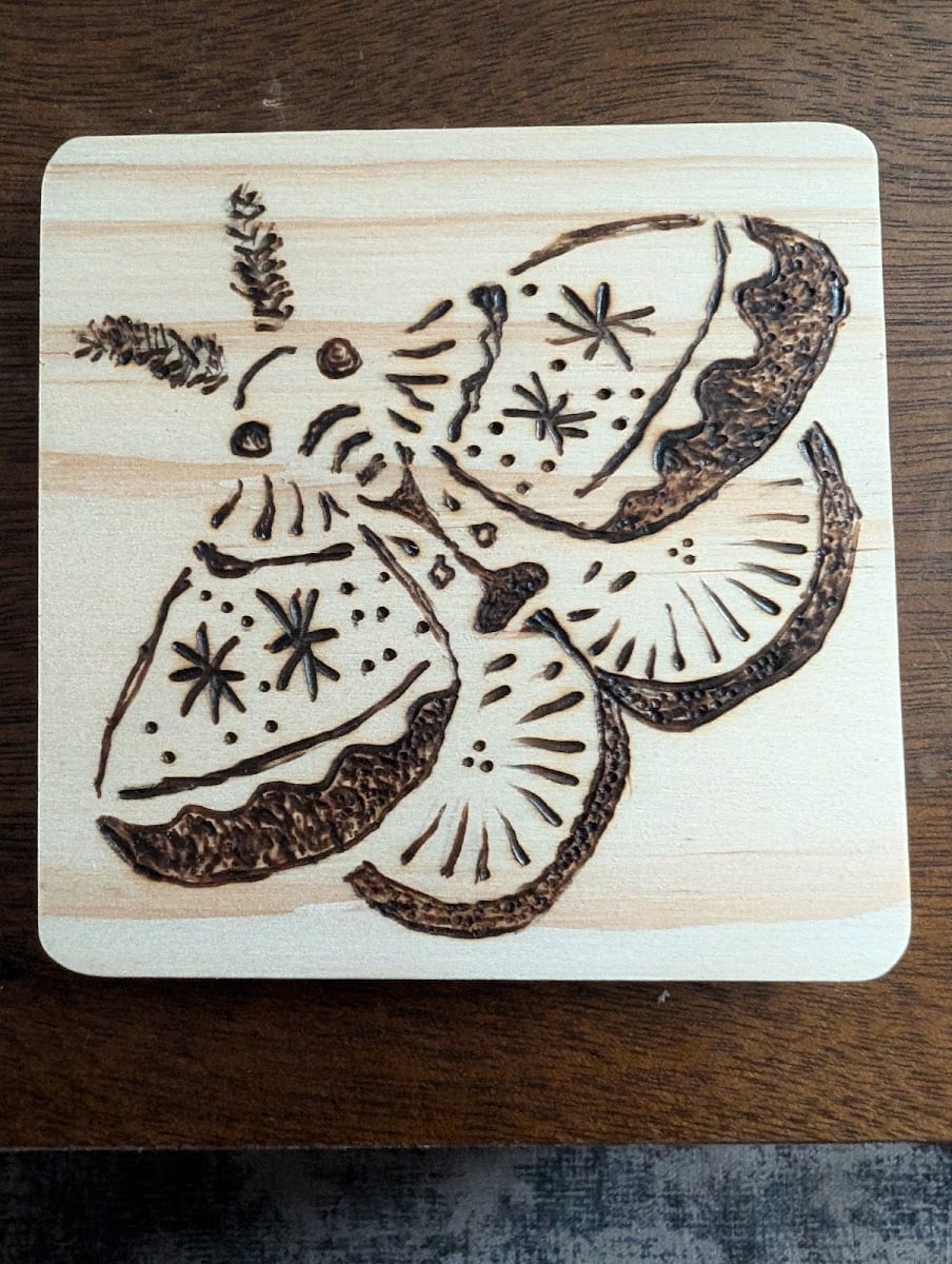 Bear & Bee, photo 2