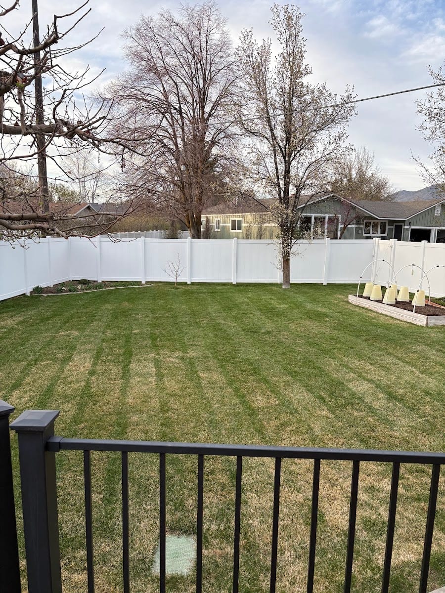 Tyson’s Lawn Care, photo 2