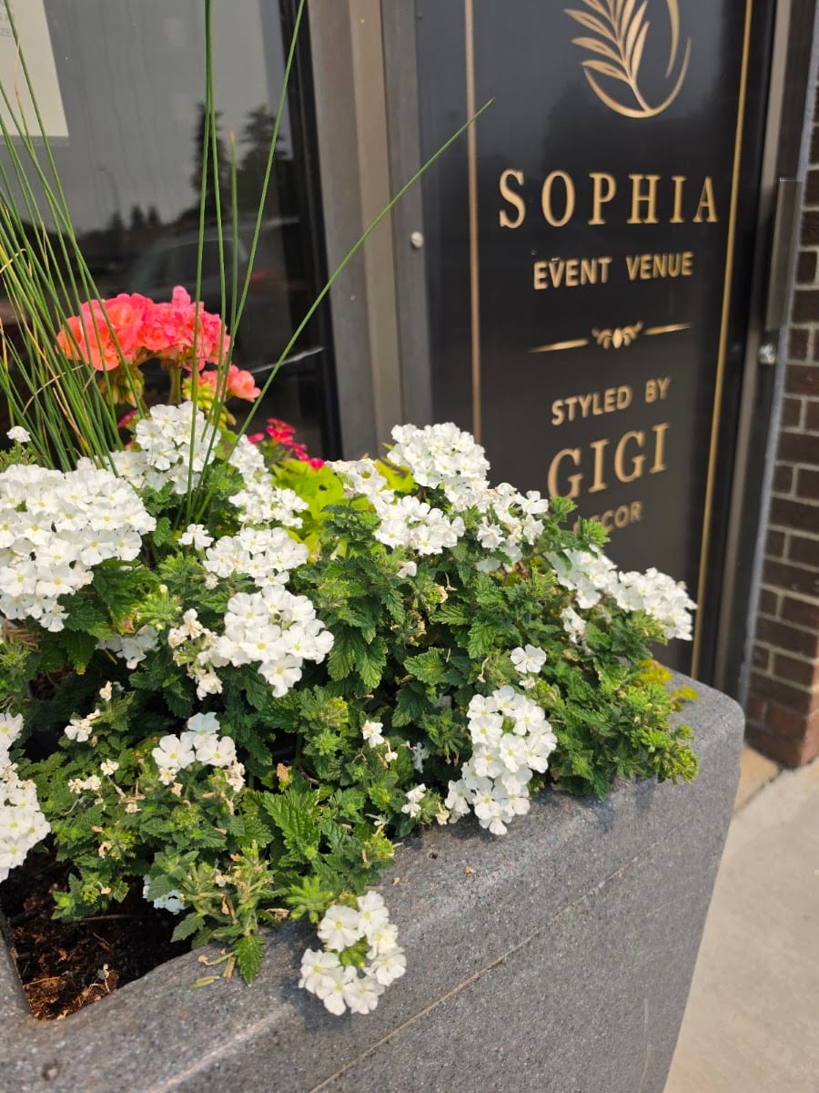 CAFÉ SOPHIA, photo 2