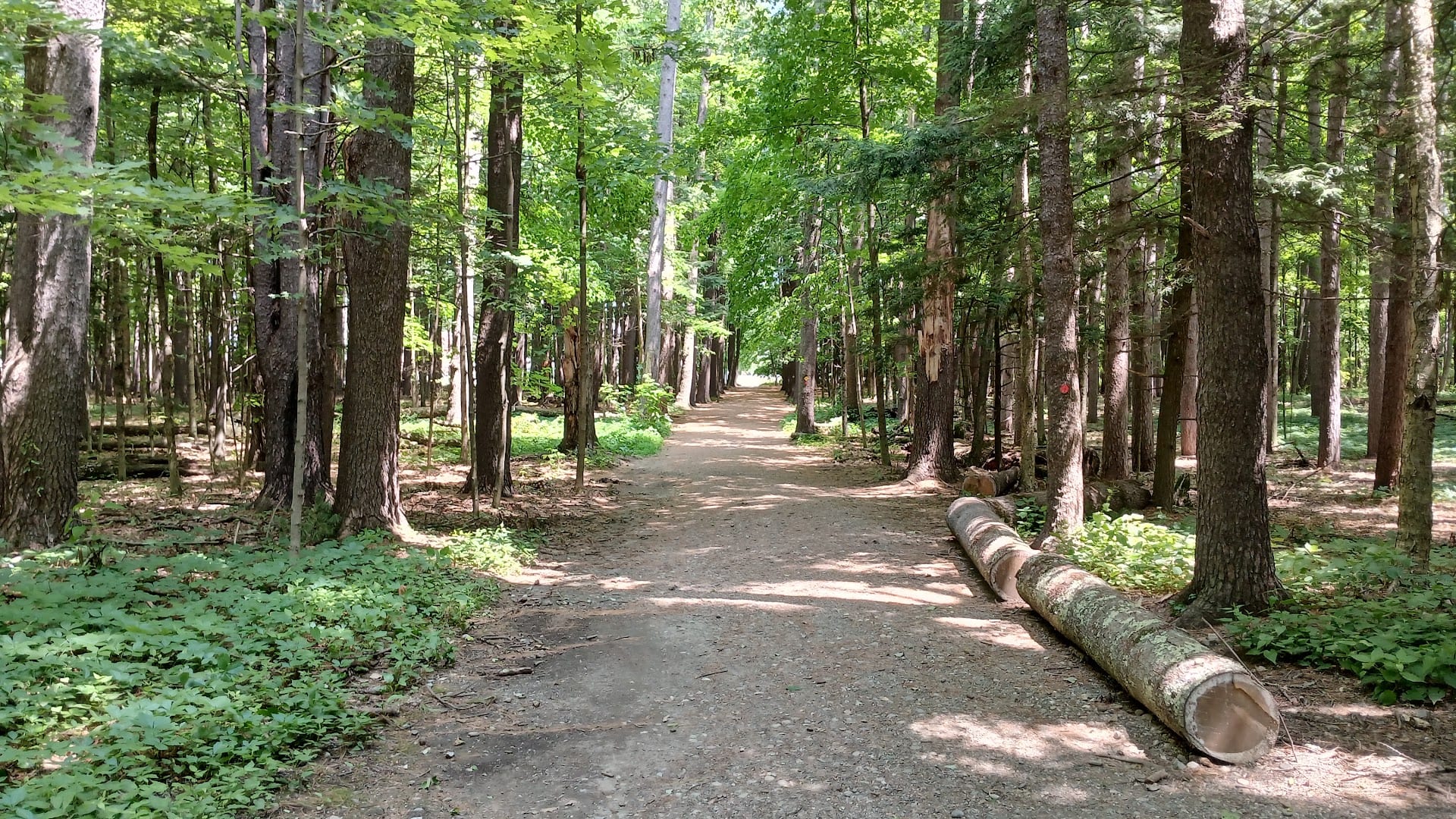 Geyser Trail - Roosevelt Bath Trailhead