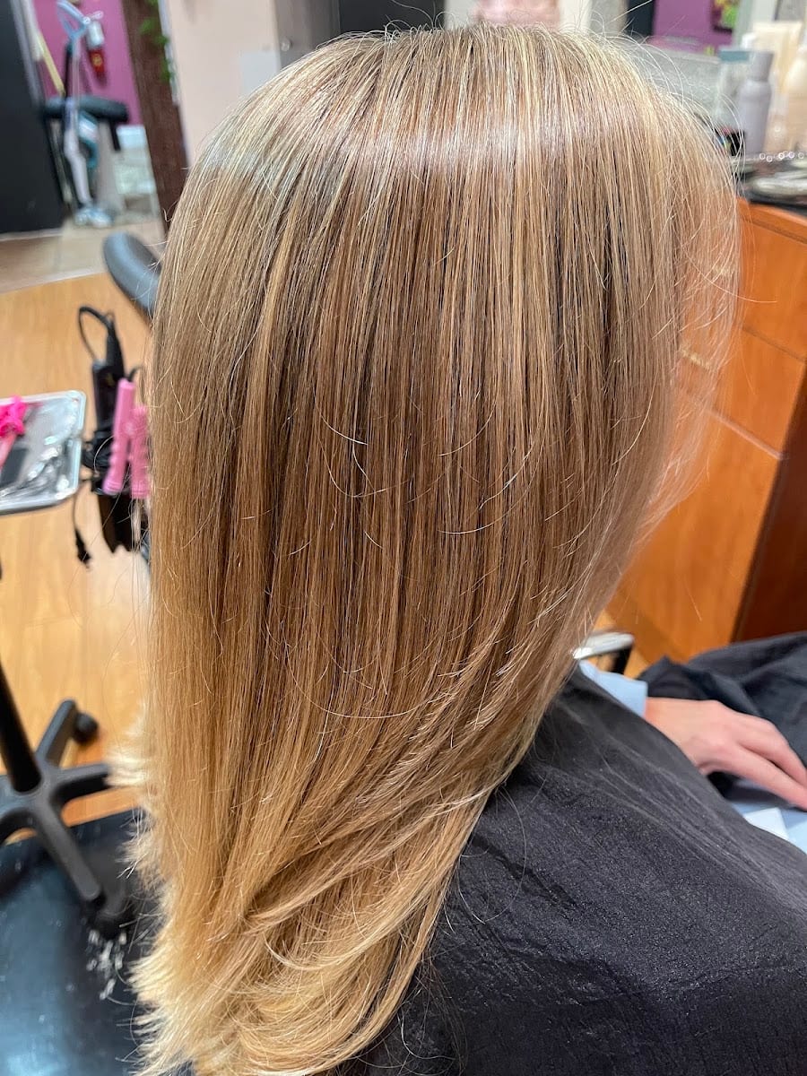 Hair Sarasota located in Hair Love the Salon, photo 3