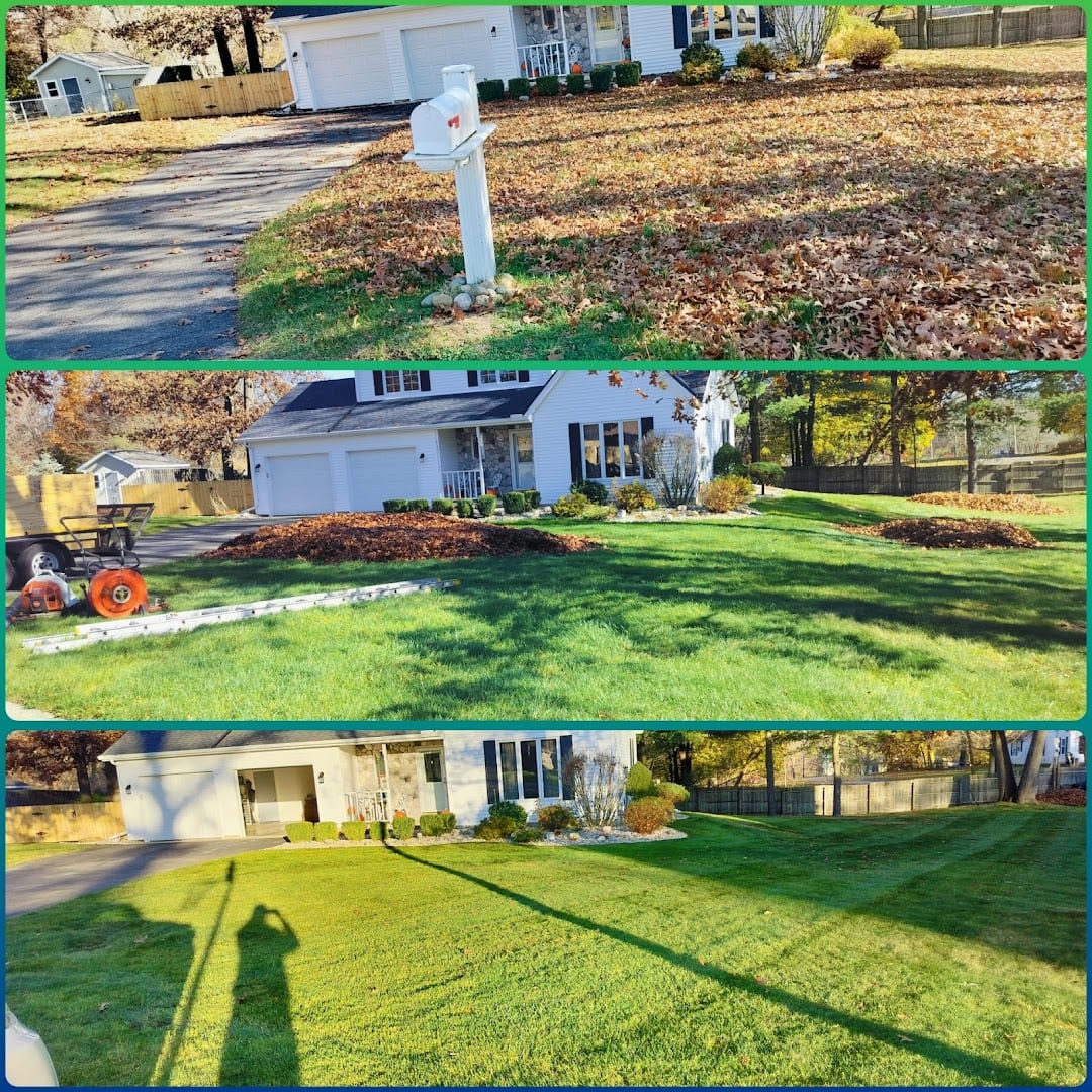Hatchells Lawncare LLC, photo 4