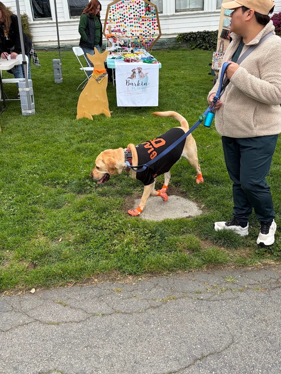 Duboce Park Dog Play Area, photo 3