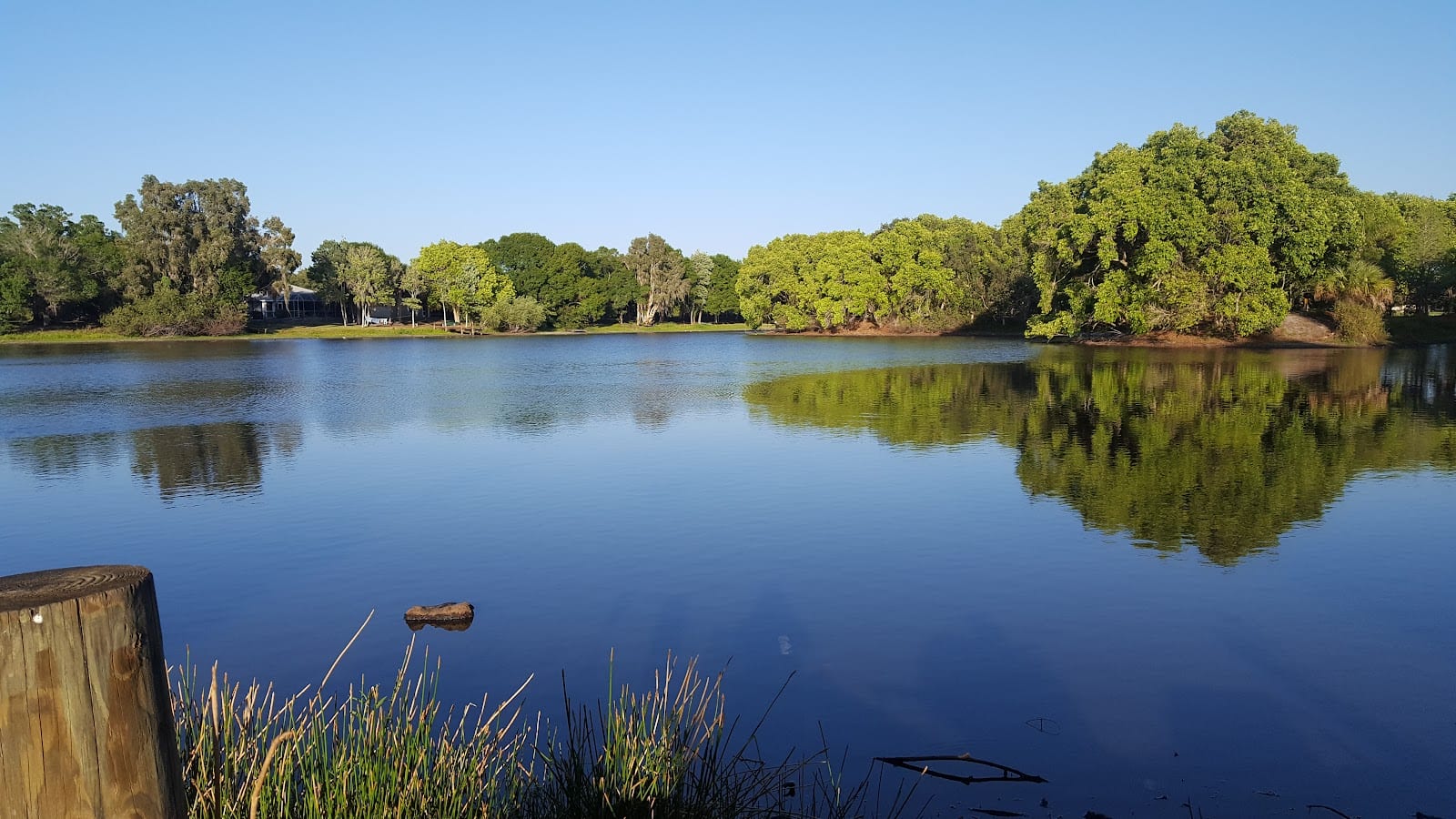 Lakeview Park Disc Golf Course, photo 3