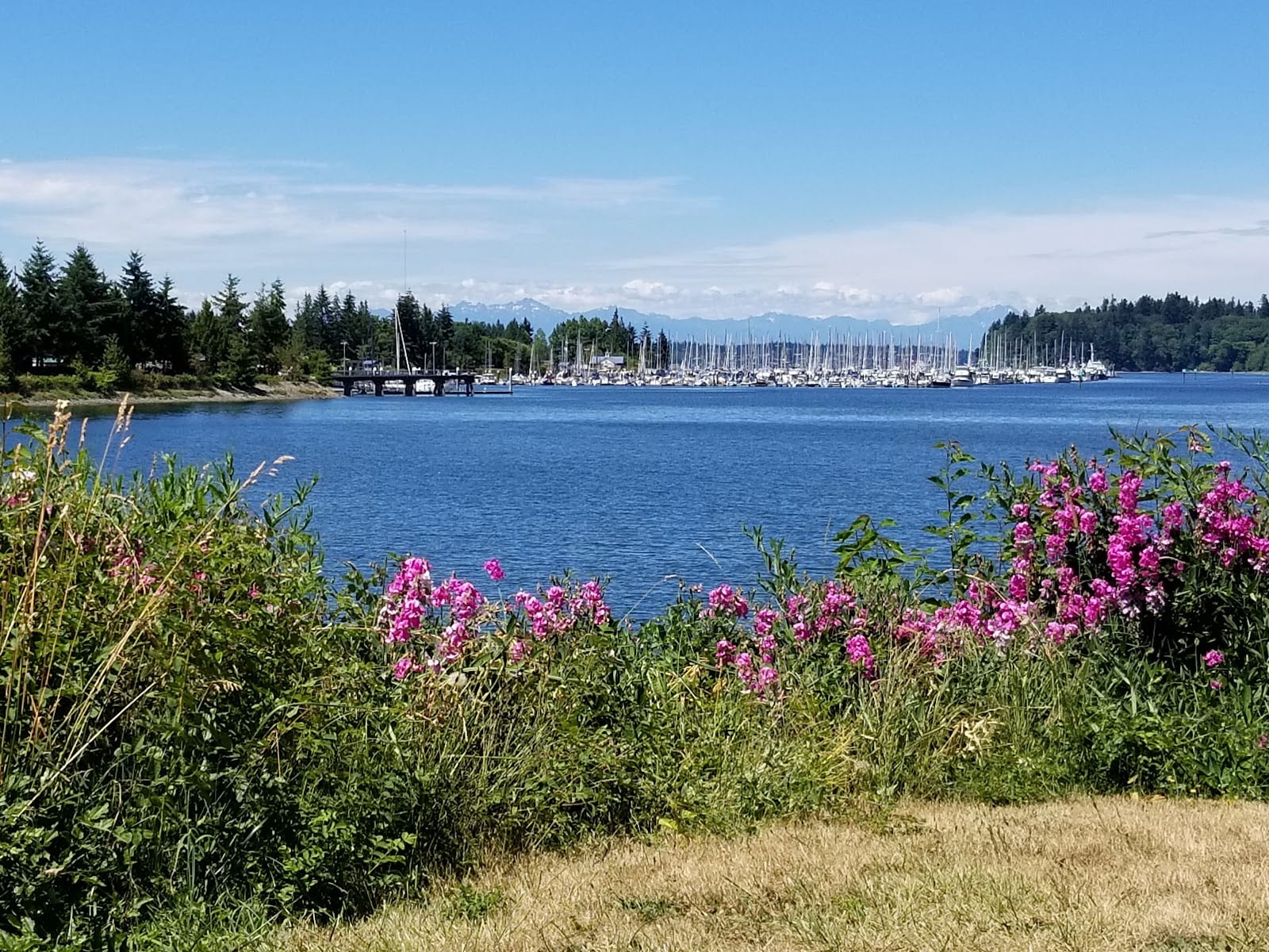 East Bay Waterfront Park