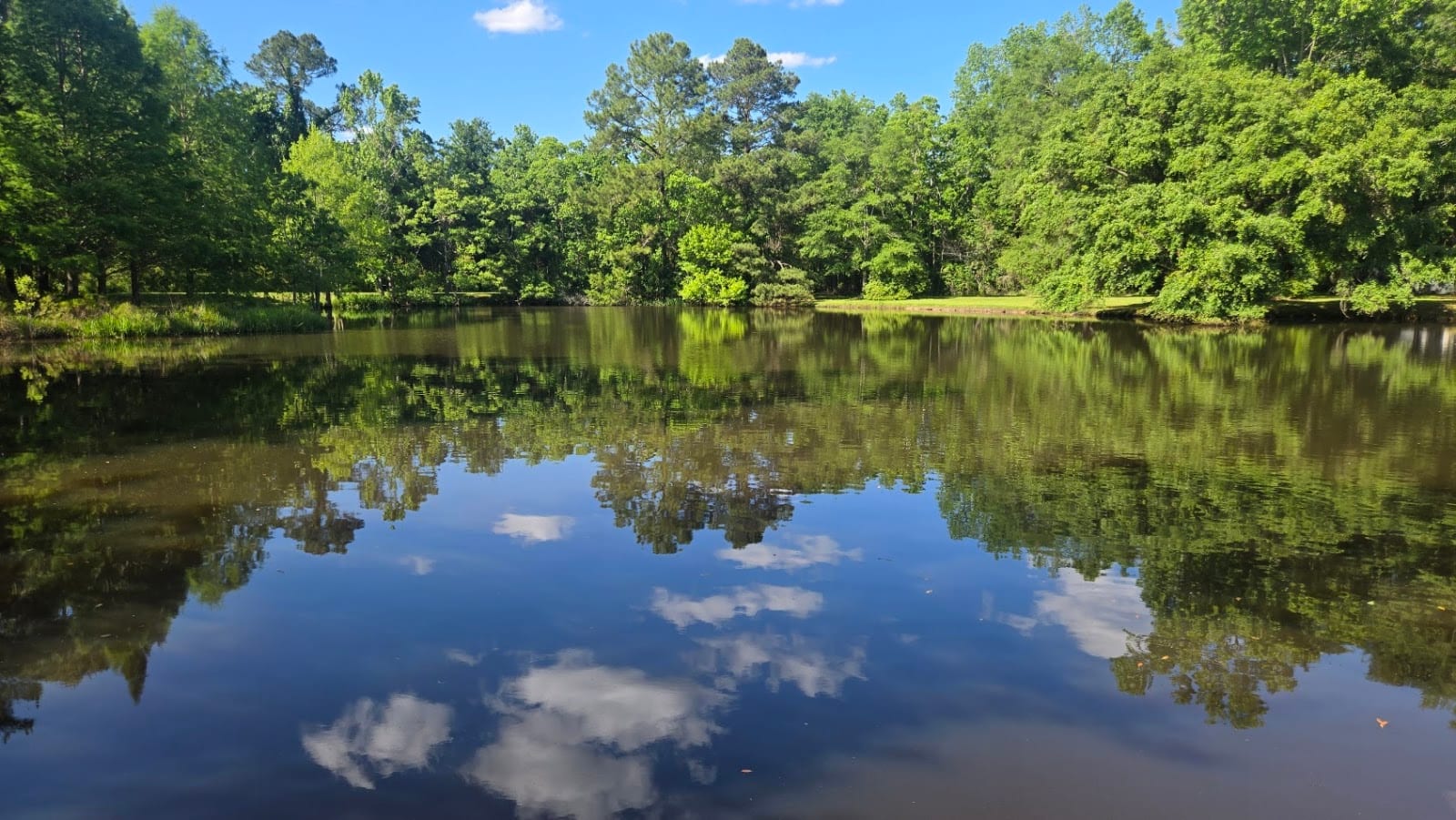 Blue Heron Pond, photo 2
