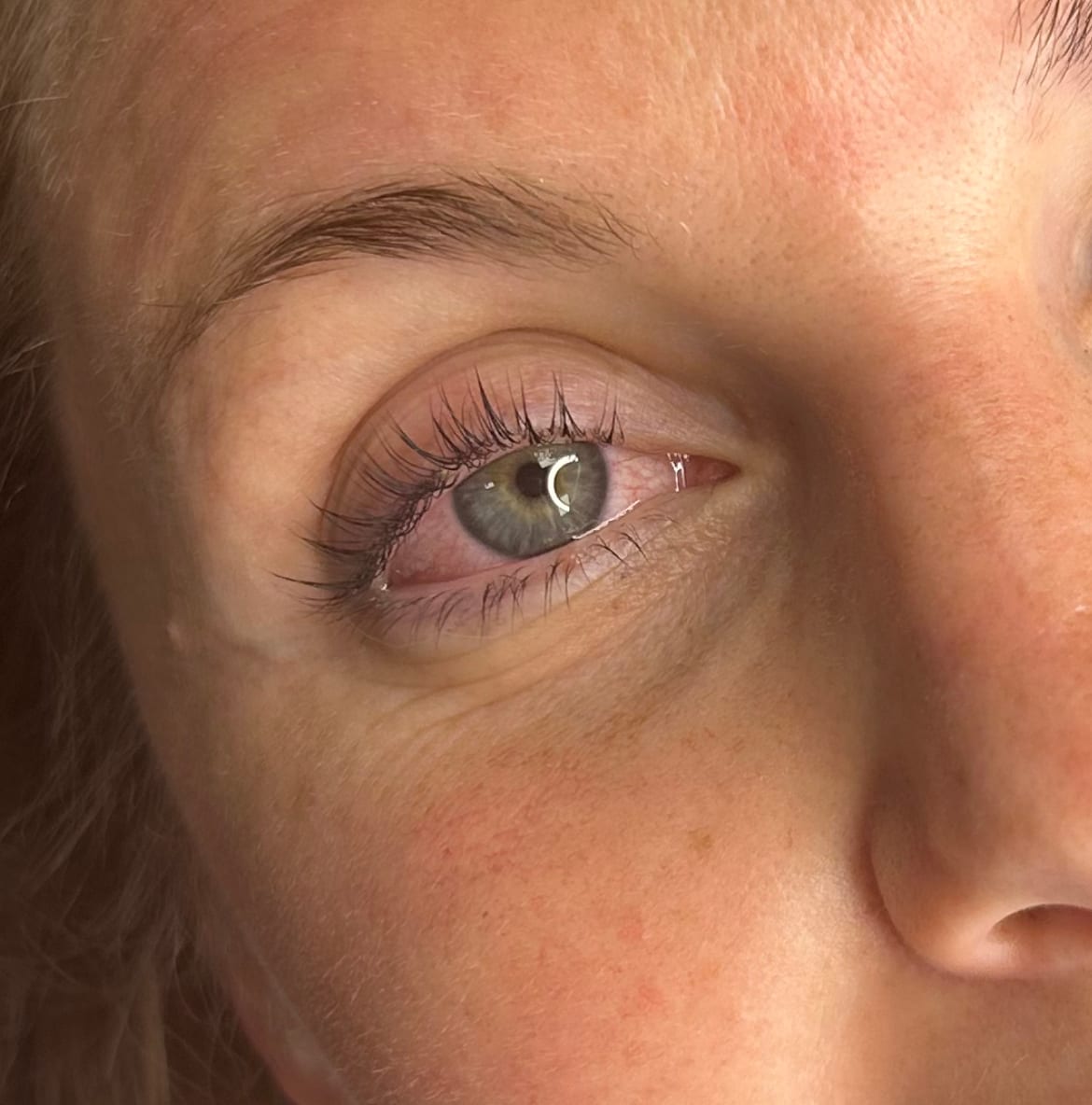 Lash Effect, photo 3