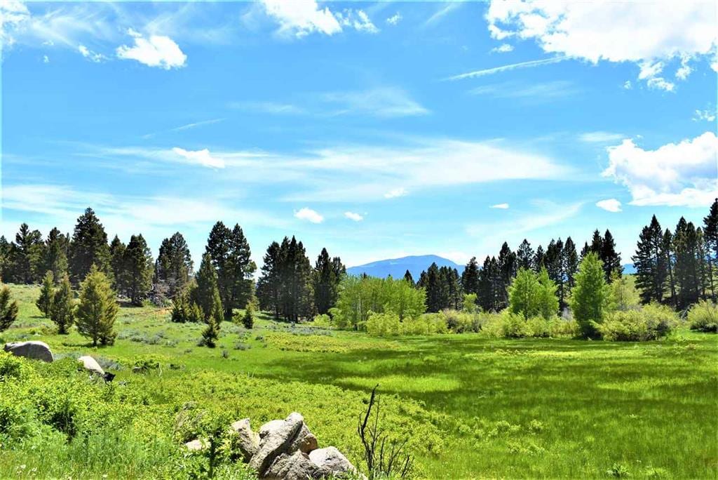 Avatar Realty, photo 3