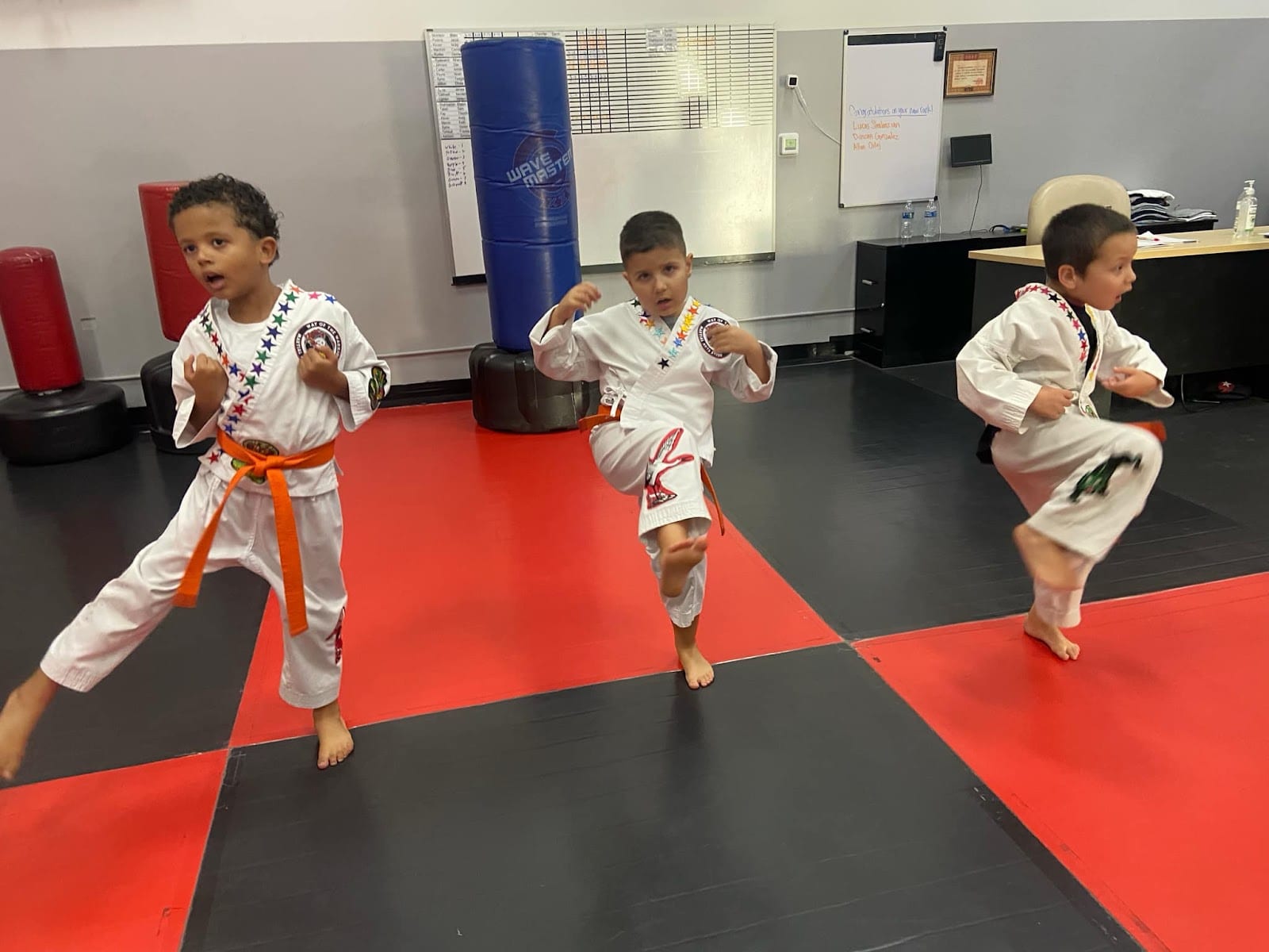 Way of the Warrior Martial Arts Summerlin