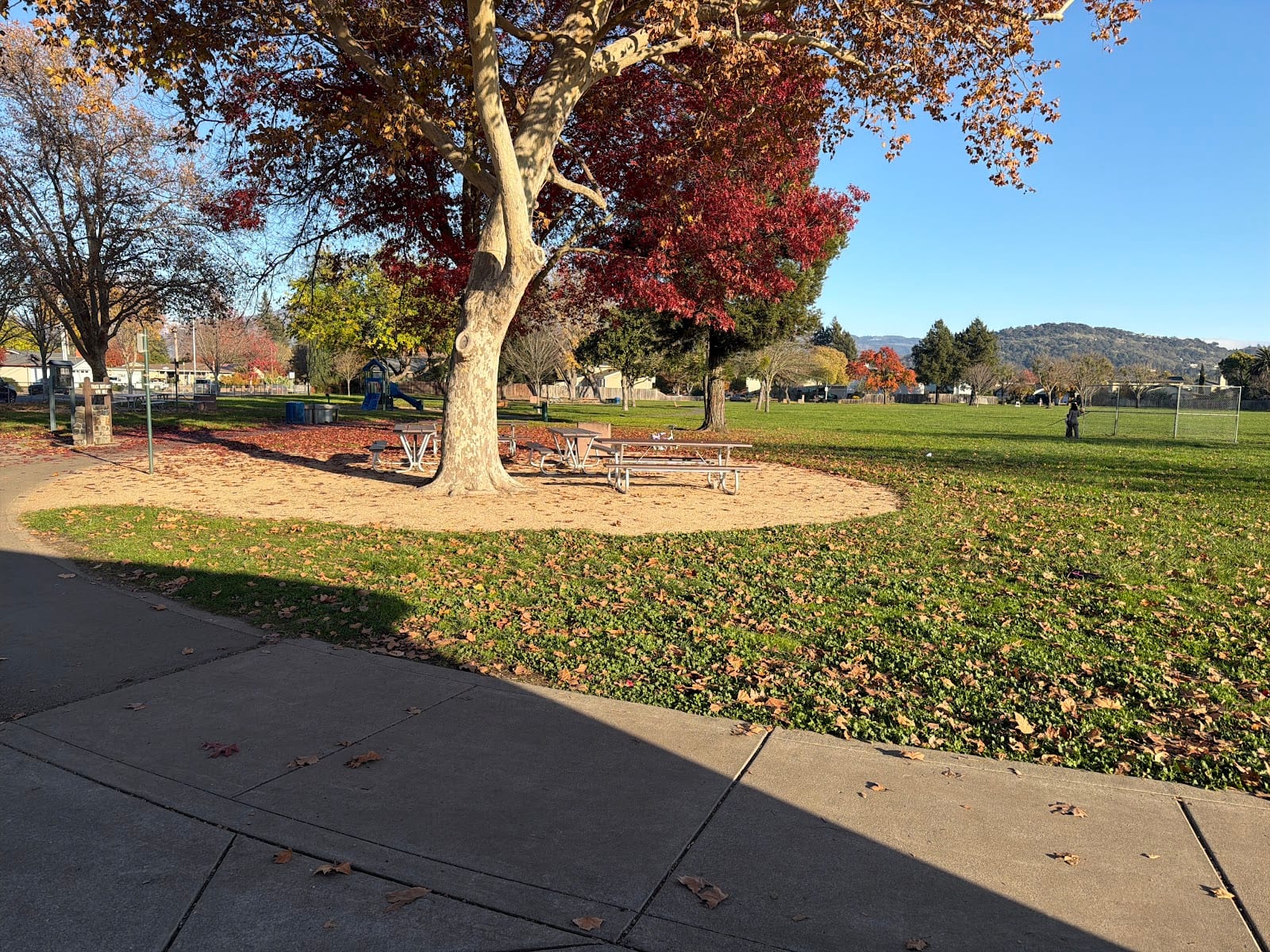 O’Brien Park, photo 3