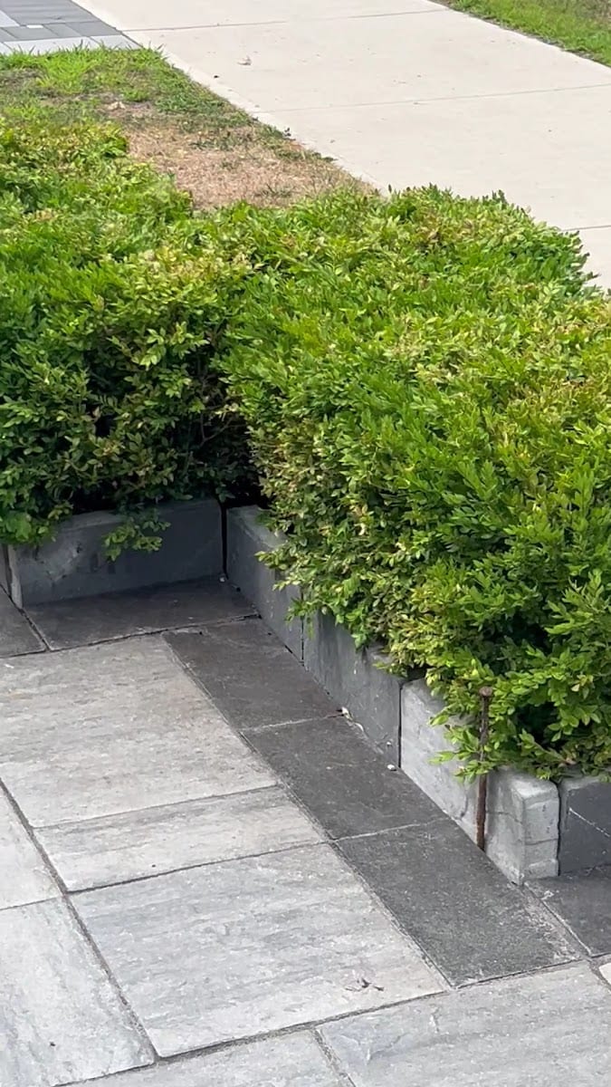 GreenRange landscaping Interlock & Snow Removal services, photo 3