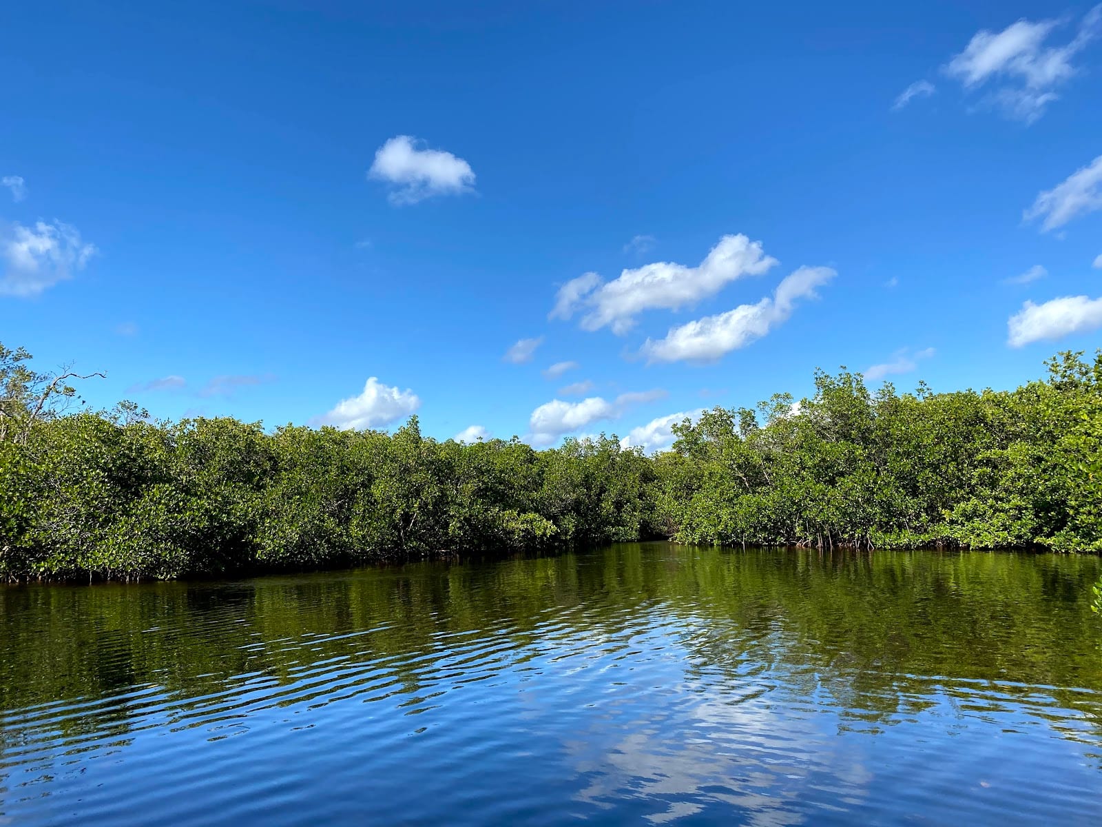 Charlotte Harbor Preserve State Park, photo 2