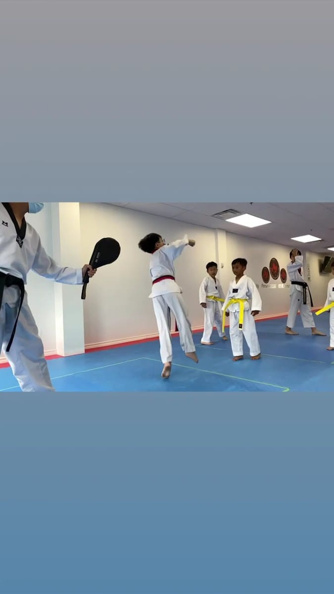 Canada Elite Spirit Taekwondo Club (Richmond Hill), photo 4