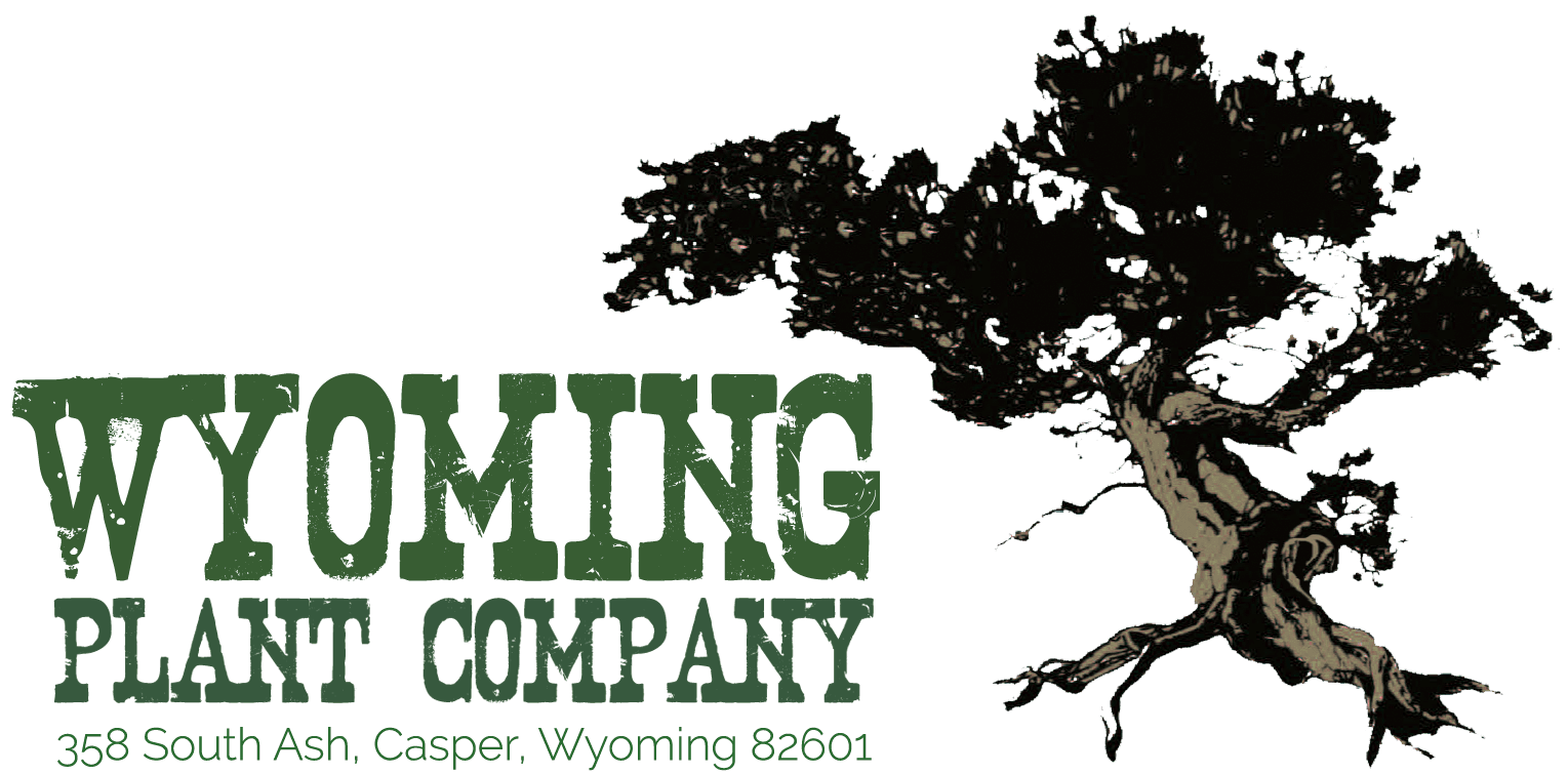 Wyoming Plant Company