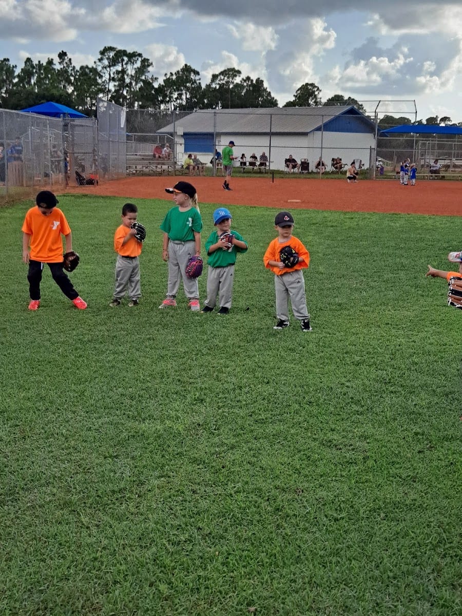 Maracaibo Field, photo 3
