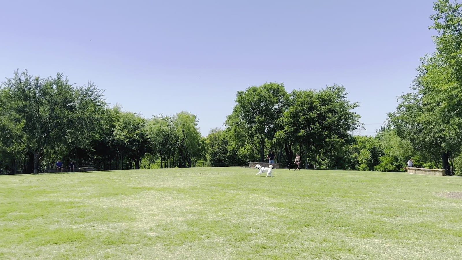 Ruff Range Dog Park, photo 2