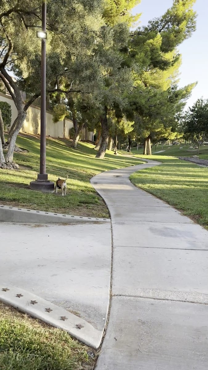 Peccole Ranch Disc Golf Course, photo 2