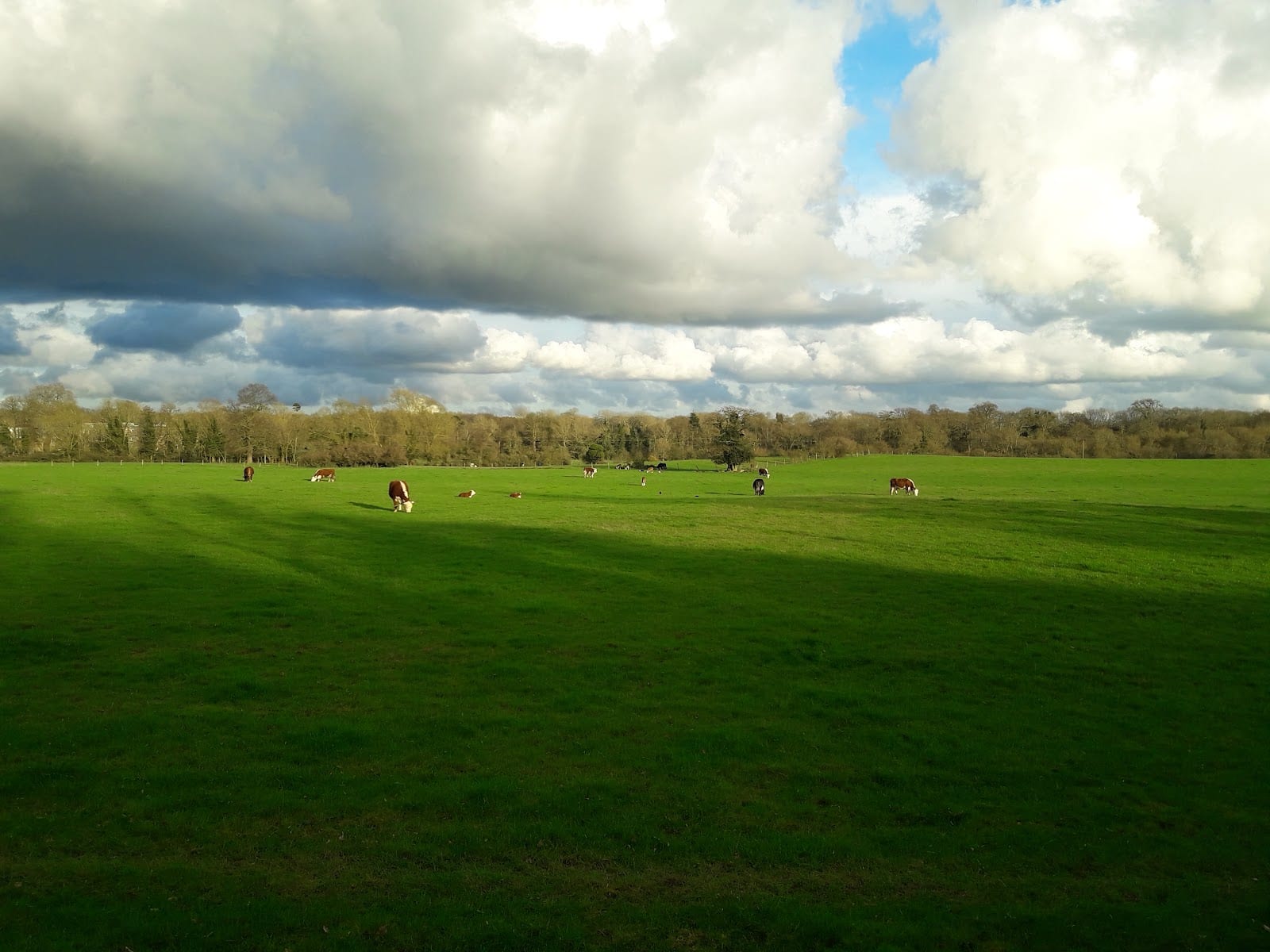 Playground, photo 3