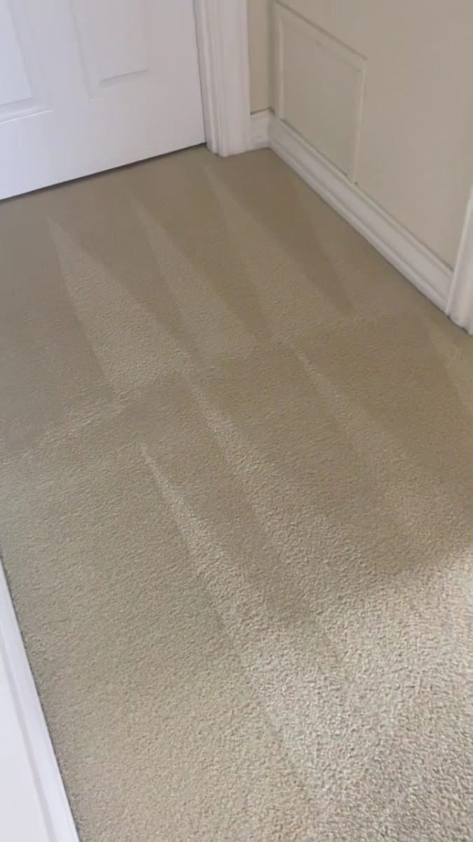 Team Us Carpet Care, photo 3