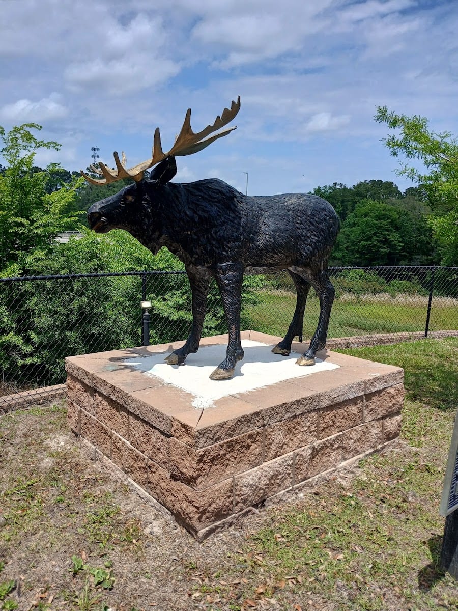 Royal Moose Coffee Company, photo 4