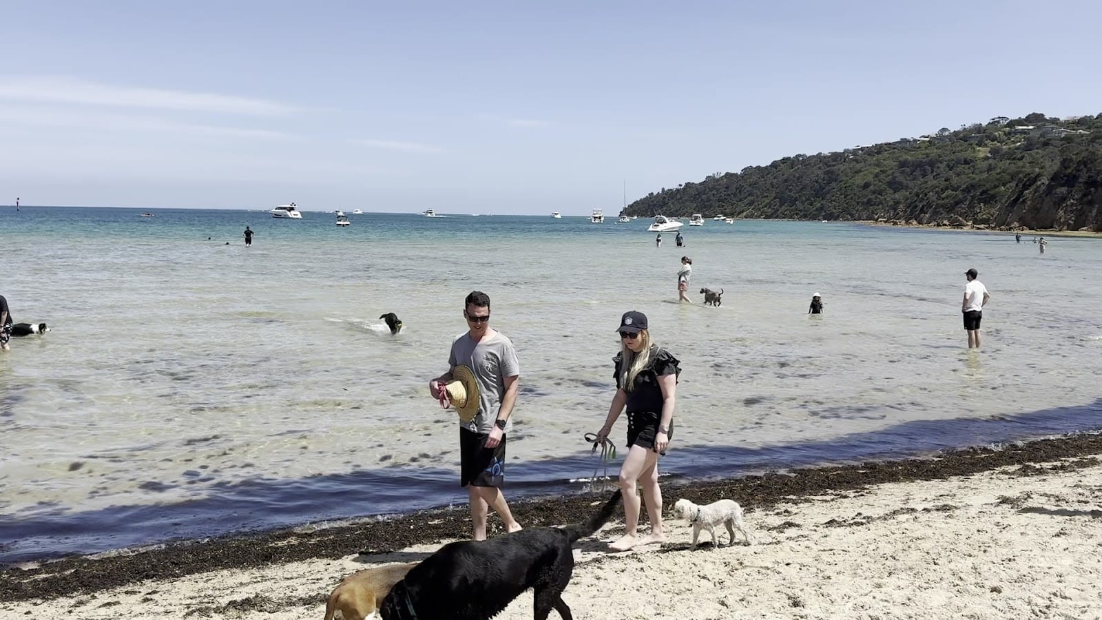 Tassells Cove, photo 2