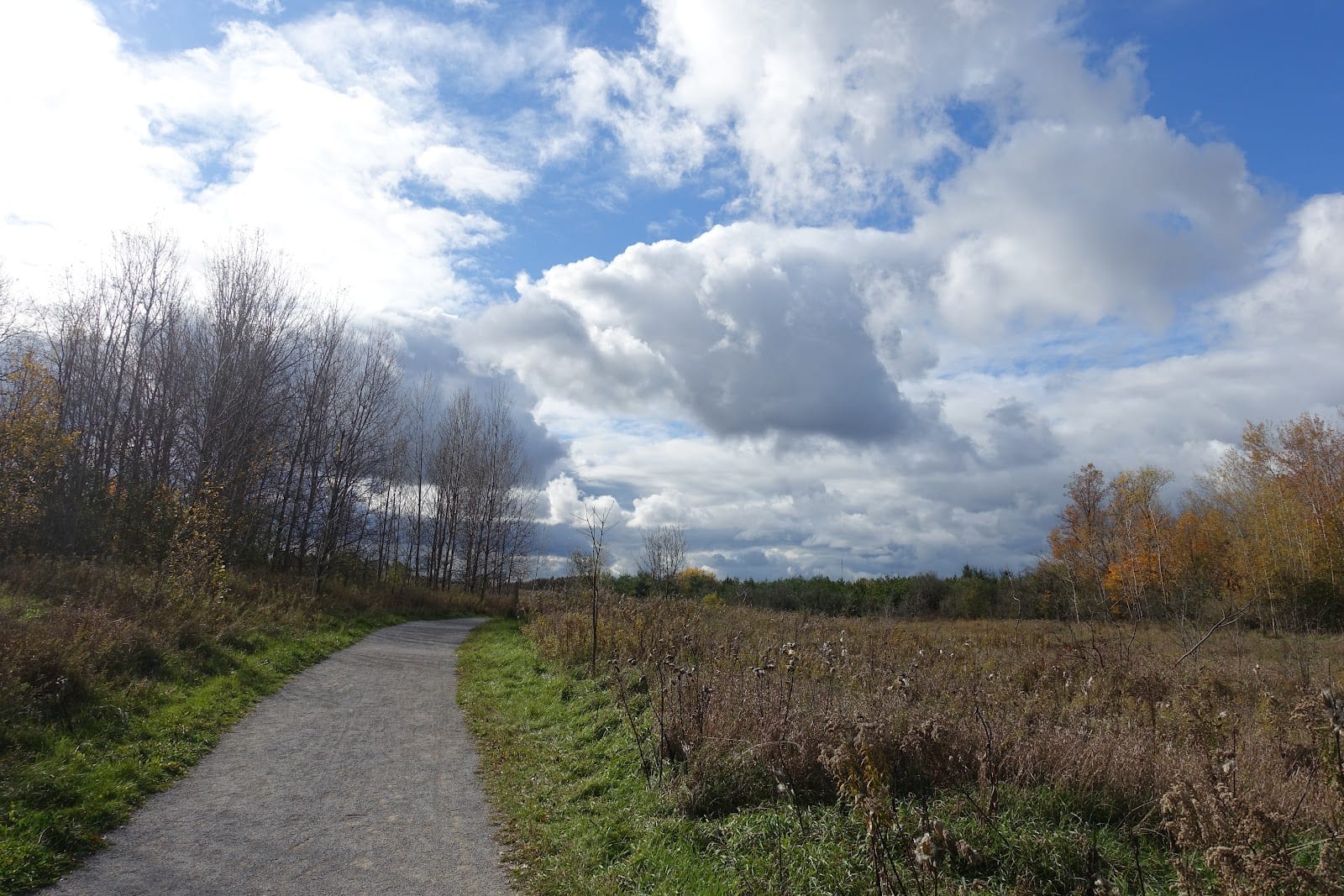 Macleod's Landing Park