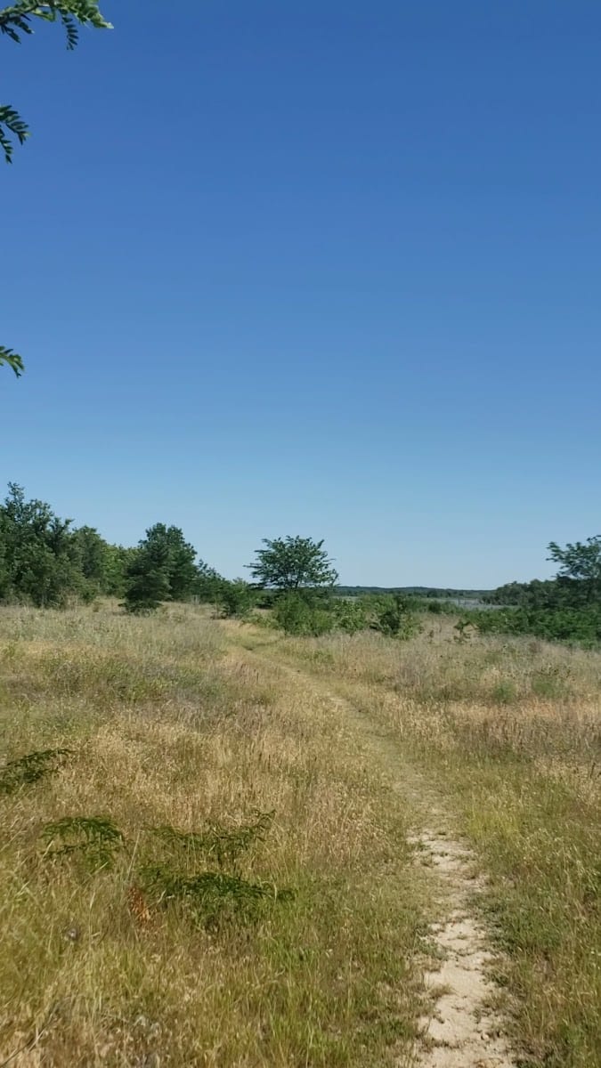 Cross Timbers Trail Head, photo 2