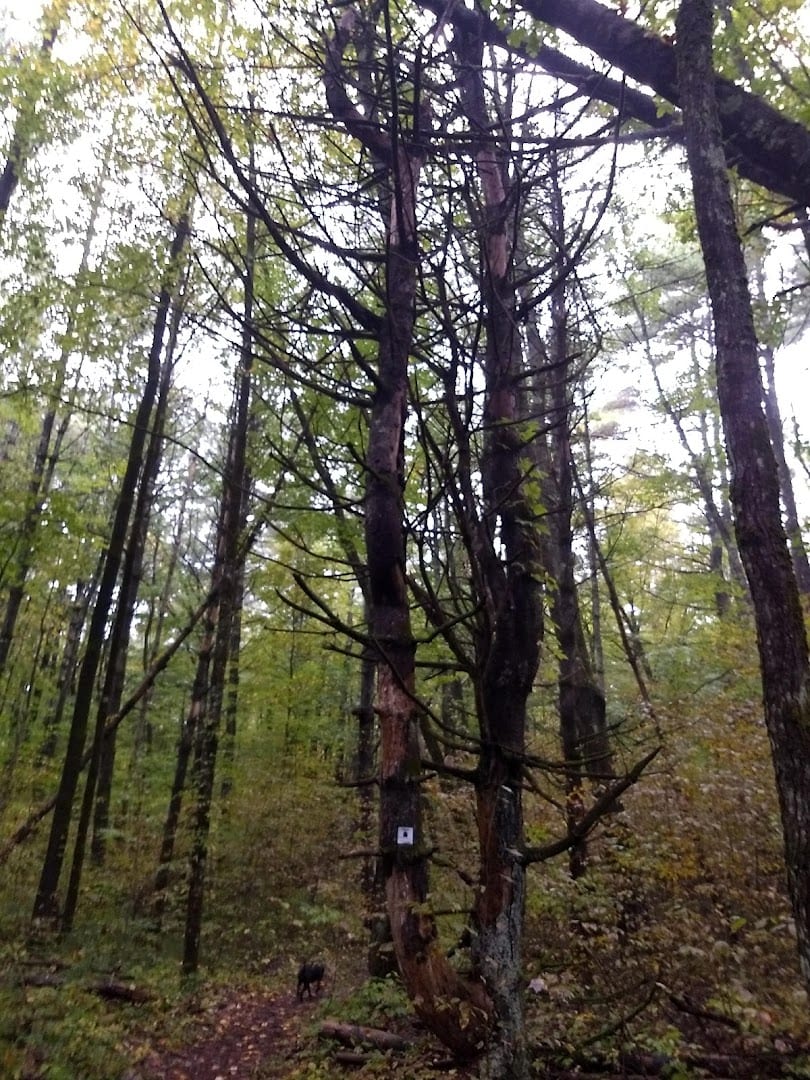 Rowland Hollow Creek Preserve, photo 3