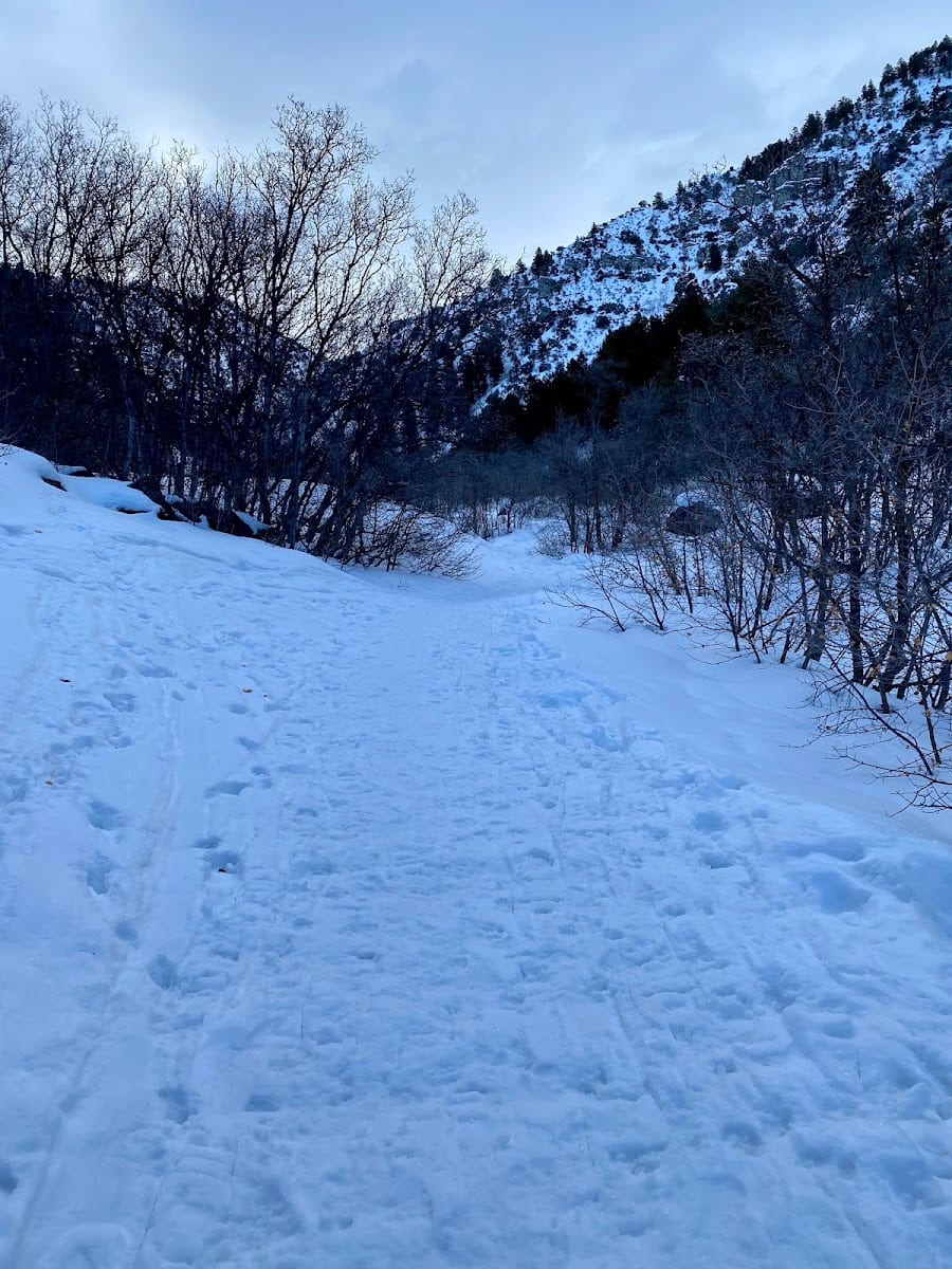 Dry Canyon, photo 2